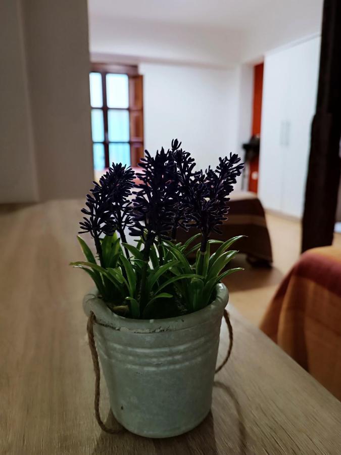 Corrala De San Anton. Sencillo Apartamento En Pleno Centro Grenade Extérieur photo